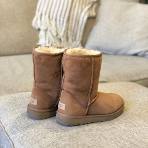 Size 7 chestnut classic Ugg boots